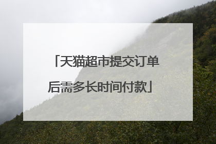 天猫超市提交订单后需多长时间付款