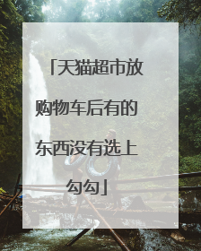 天猫超市放购物车后有的东西没有选上勾勾