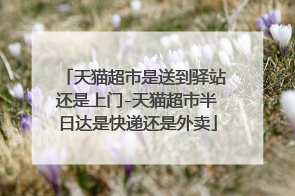 天猫超市是送到驿站还是上门-天猫超市半日达是快递还是外卖