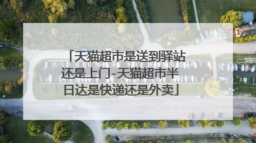 天猫超市是送到驿站还是上门-天猫超市半日达是快递还是外卖