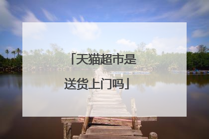 天猫超市是送货上门吗