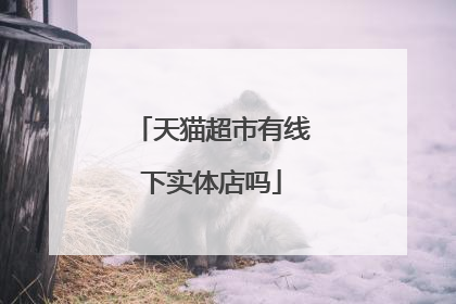 天猫超市有线下实体店吗