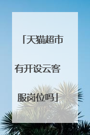天猫超市有开设云客服岗位吗