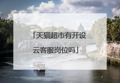 天猫超市有开设云客服岗位吗