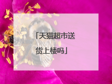 天猫超市送货上楼吗
