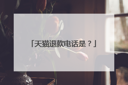 天猫退款电话是？