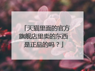 天猫里面的官方旗舰店里卖的东西是正品的吗?