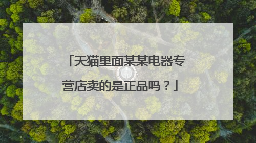 天猫里面某某电器专营店卖的是正品吗?