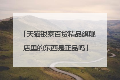 天猫银泰百货精品旗舰店里的东西是正品吗