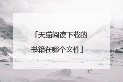 天猫阅读下载的书籍在哪个文件