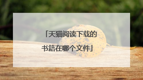 天猫阅读下载的书籍在哪个文件