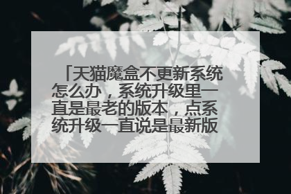 天猫魔盒不更新系统怎么办,系统升级里一直是最老的版本,点系统升级一直说是最新版本,就是不升级。
