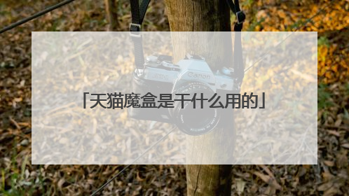 天猫魔盒是干什么用的