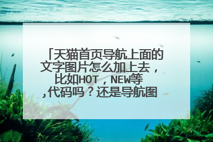 天猫首页导航上面的文字图片怎么加上去,比如HOT,NEW等,代码吗?还是导航图片?如图红框
