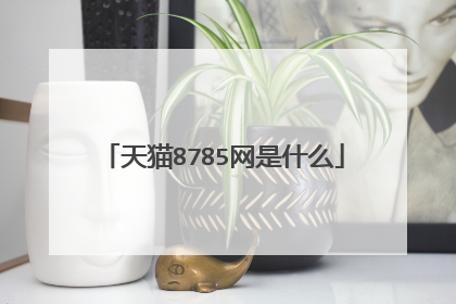 天猫8785网是什么