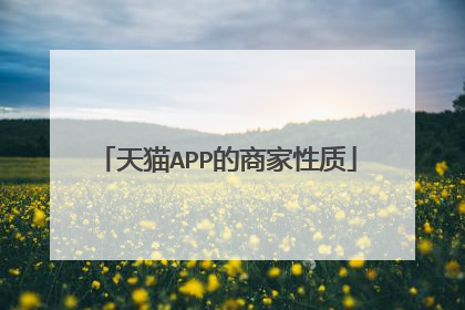 天猫APP的商家性质
