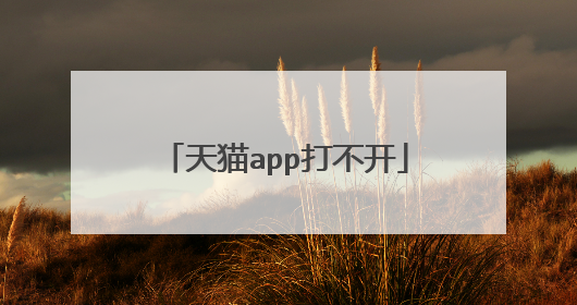 天猫app打不开