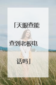 天眼查能查到老板电话吗