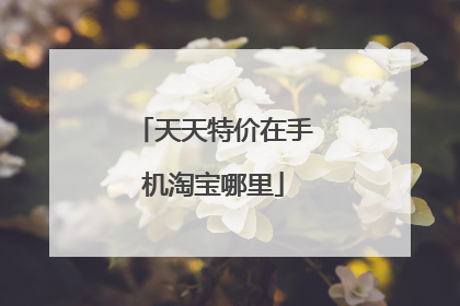 天天特价在手机淘宝哪里
