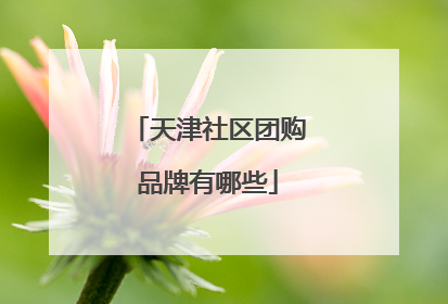 天津社区团购品牌有哪些