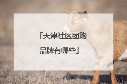 天津社区团购品牌有哪些