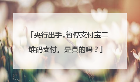 央行出手,暂停支付宝二维码支付, 是真的吗?