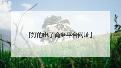 好的电子商务平台网址