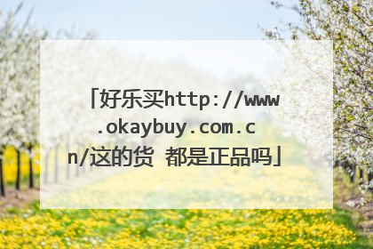 好乐买http://www.okaybuy.com.cn/这的货 都是正品吗