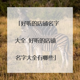 好听的店铺名字大全 好听的店铺名字大全有哪些