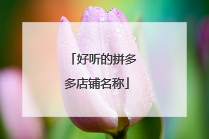 好听的拼多多店铺名称