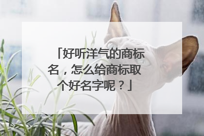 好听洋气的商标名，怎么给商标取个好名字呢？