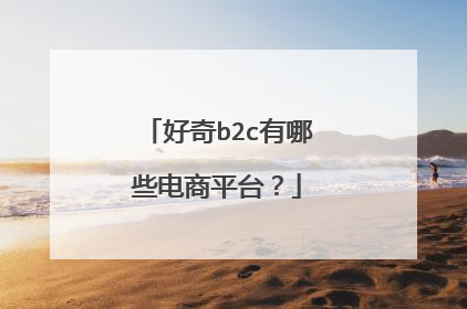 好奇b2c有哪些电商平台?