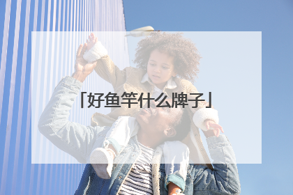 好鱼竿什么牌子