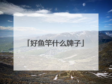 好鱼竿什么牌子