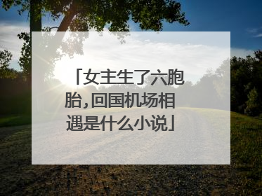 女主生了六胞胎,回国机场相遇是什么小说