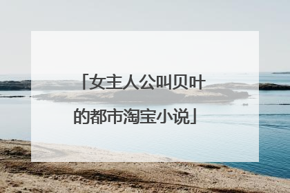 女主人公叫贝叶的都市淘宝小说