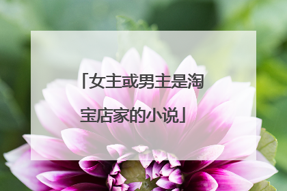 女主或男主是淘宝店家的小说