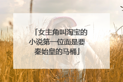 女主角叫淘宝的小说第一位面是要秦始皇的马桶