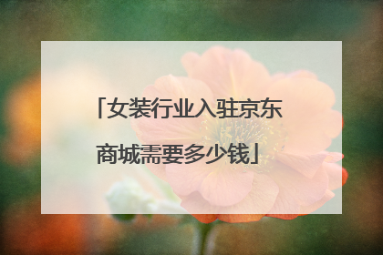 女装行业入驻京东商城需要多少钱