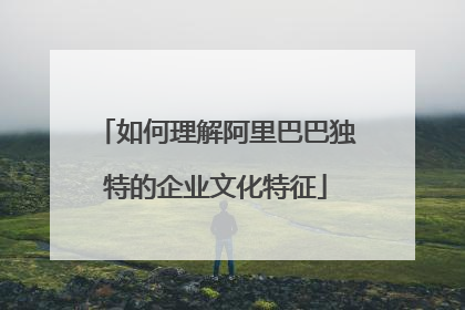 如何理解阿里巴巴独特的企业文化特征