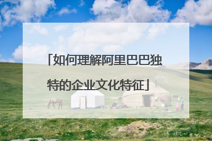 如何理解阿里巴巴独特的企业文化特征