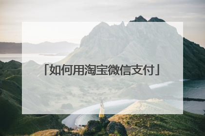如何用淘宝微信支付