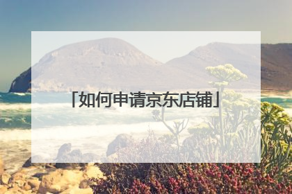 如何申请京东店铺