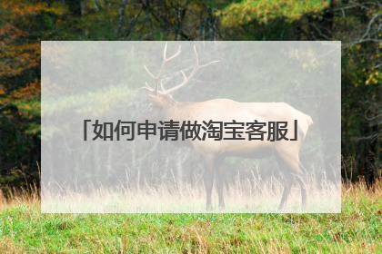 如何申请做淘宝客服