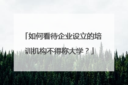 如何看待企业设立的培训机构不得称大学?