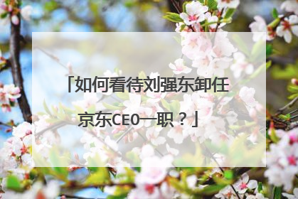 如何看待刘强东卸任京东CEO一职?
