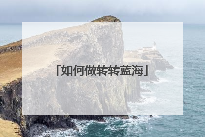 如何做转转蓝海