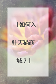 如何入驻天猫商城?