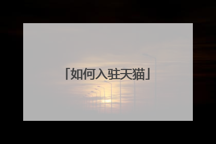 如何入驻天猫