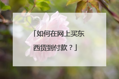 如何在网上买东西货到付款?